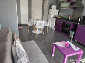 T2 récent avec Garage